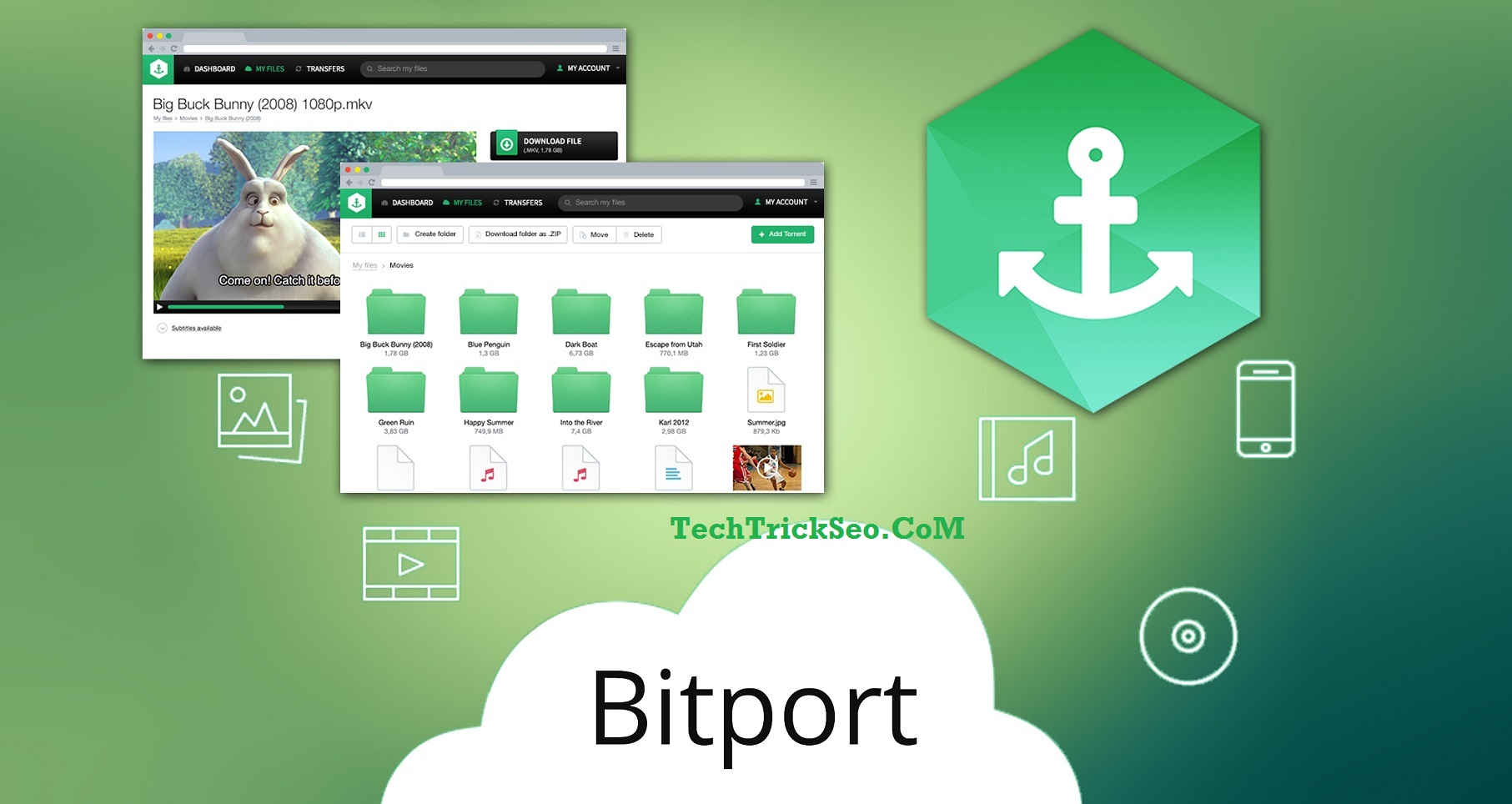birport premium account