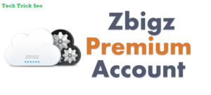 zbigz premium account