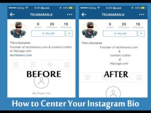 How to customize instagram bio
