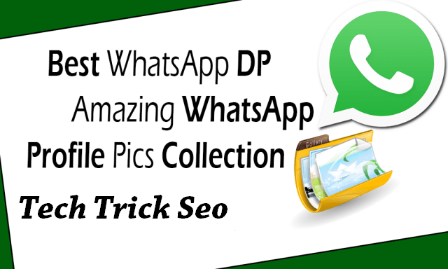 WhatsApp DP: Ultimate Collection of Profile Pictures for WhatsApp DP