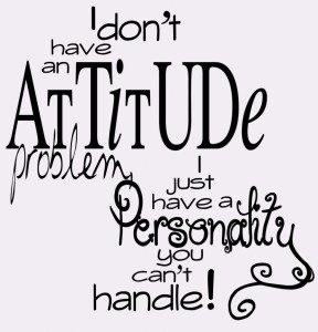 I-dont-have-an-attitude-problem-whatsapp-dp