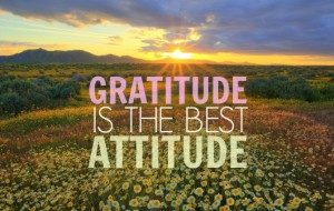 gratitude is the best attitude whatsapp dp